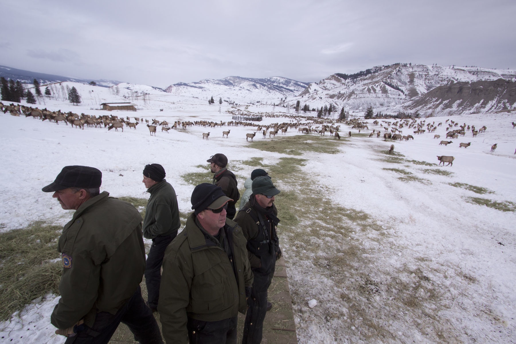 G&F counting elk at Alkali Creek fg 2012 Western Watersheds Project