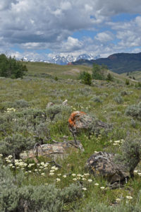 Image of Alkali Feedground